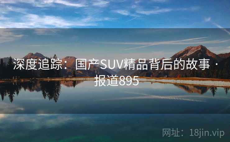 深度追踪：国产SUV精品背后的故事 · 报道895